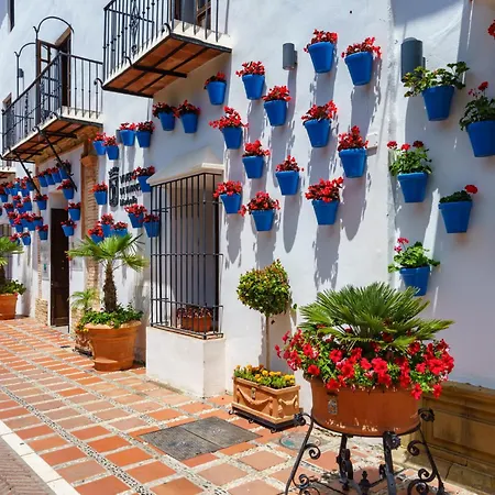 Coto Real By Interhome Apartment